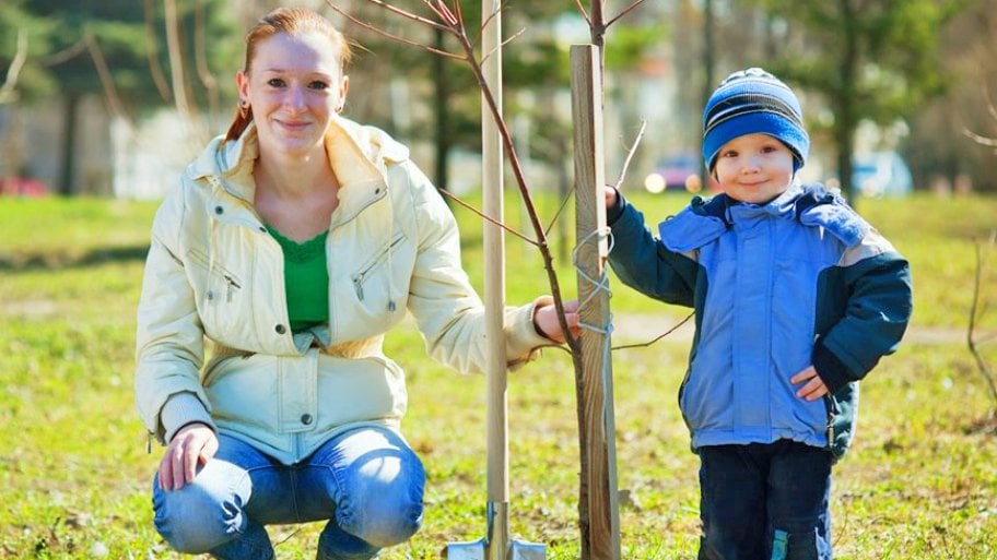 Tree Services Removal And T Angie S List Trees Can Improve Air Quality Cut Energy Bills With Their Shade Provide Homes For Landscapingtree Service