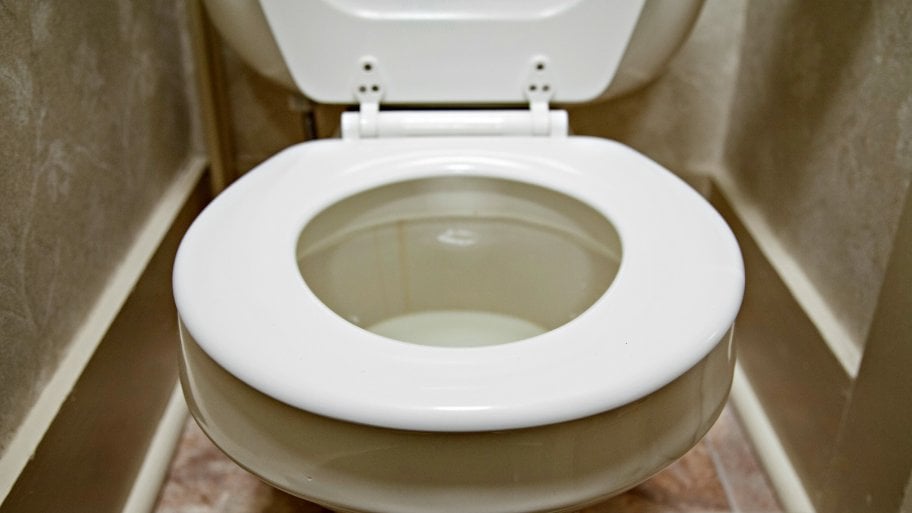 stuffed toilet